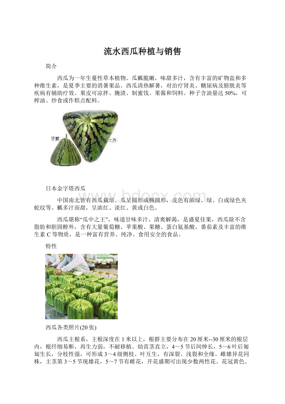 流水西瓜种植与销售Word下载.docx_第1页