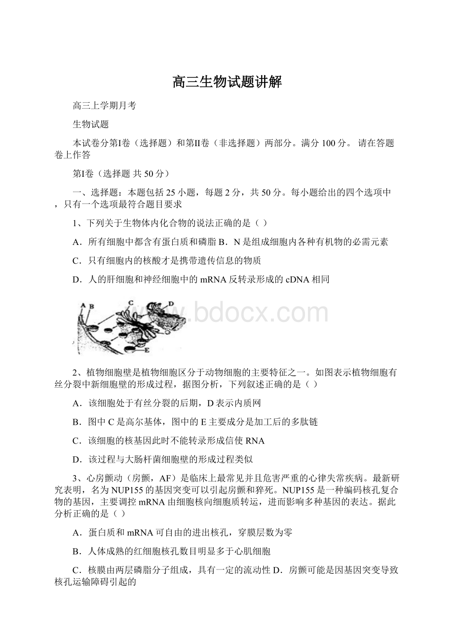 高三生物试题讲解.docx_第1页