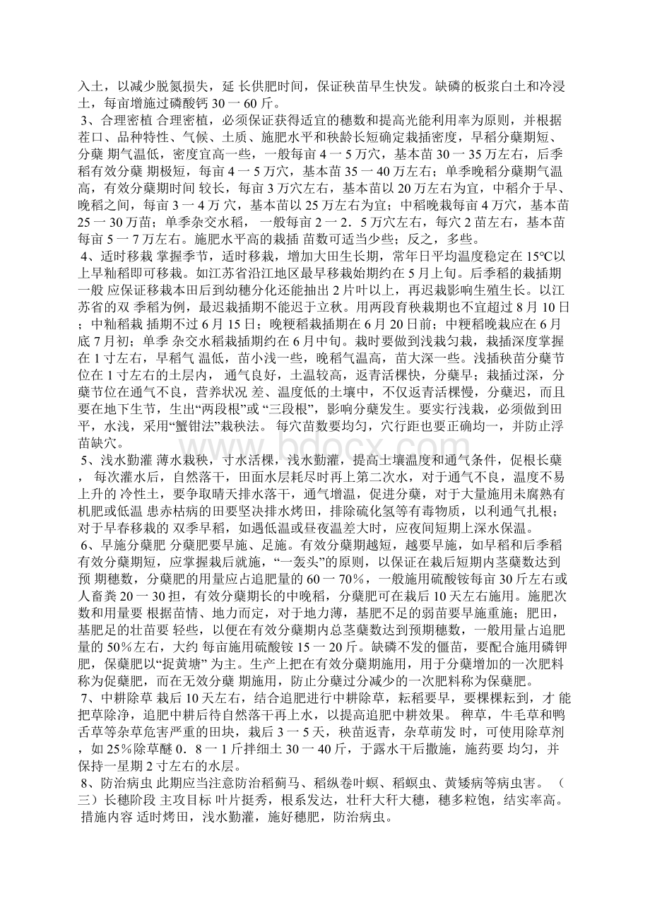 水稻的具体种植方法Word格式.docx_第3页