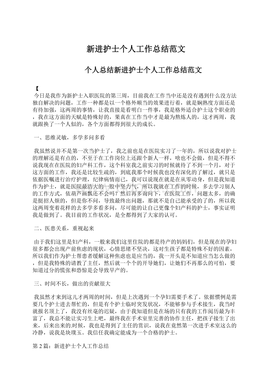 新进护士个人工作总结范文Word格式文档下载.docx