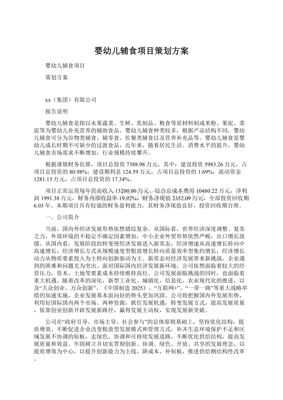 婴幼儿辅食项目策划方案Word文件下载.docx