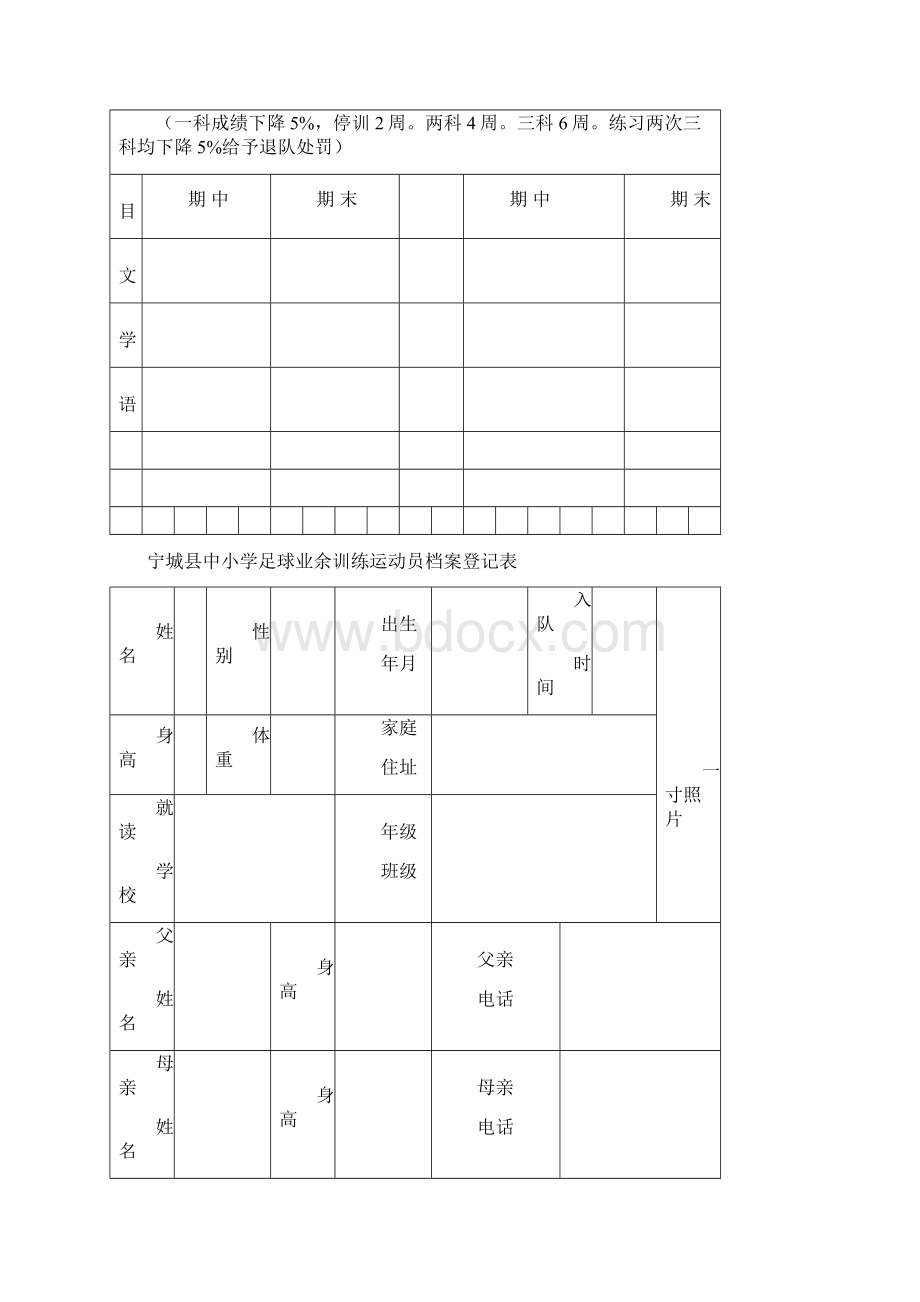 足球运动员档案doc.docx_第2页