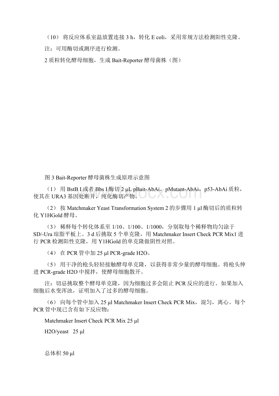 酵母单杂交实验步骤总结文档格式.docx_第2页