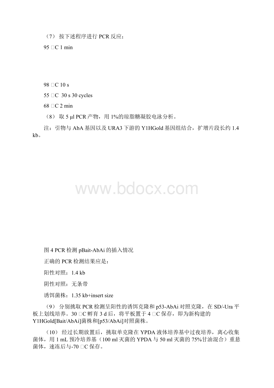 酵母单杂交实验步骤总结文档格式.docx_第3页