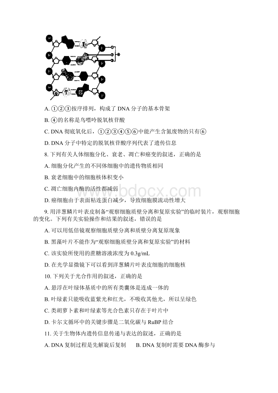 浙江省选考十校联盟适应性考试生物试题及答案.docx_第2页