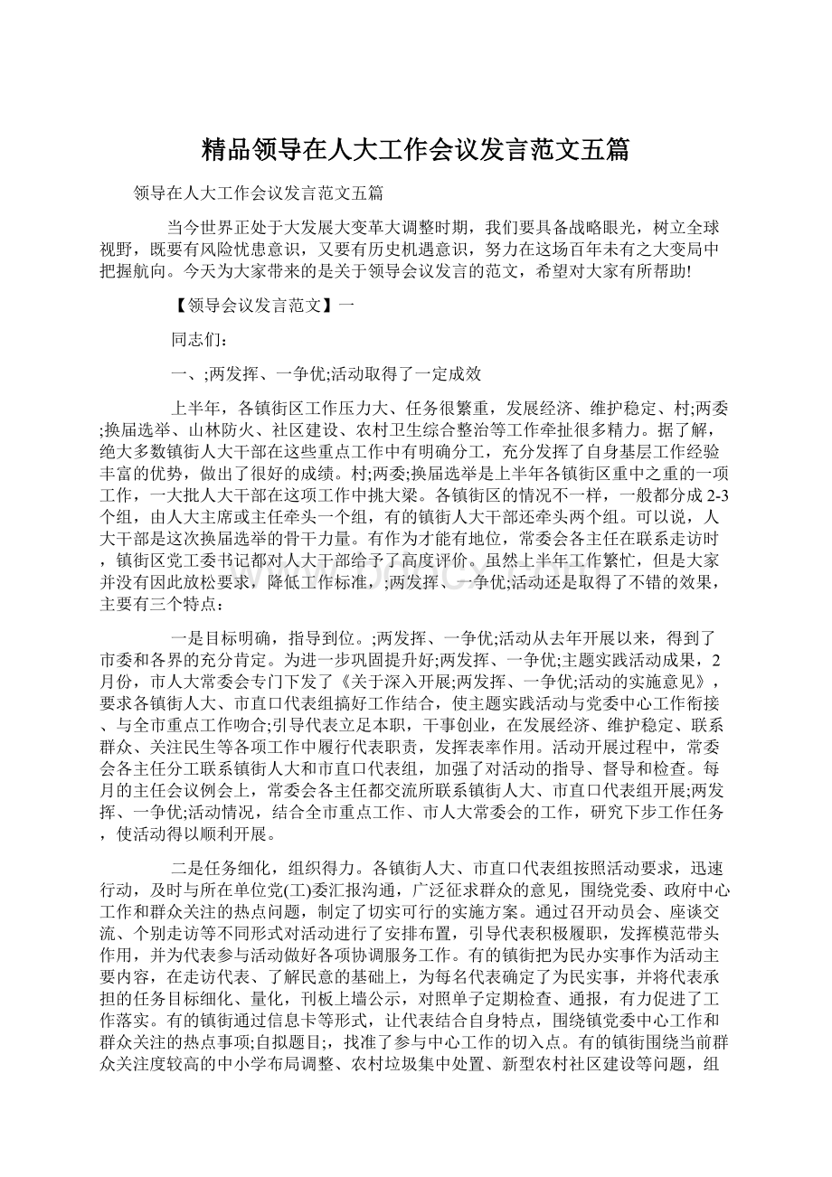 精品领导在人大工作会议发言范文五篇.docx