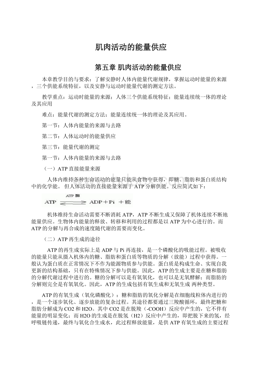 肌肉活动的能量供应Word文档下载推荐.docx_第1页