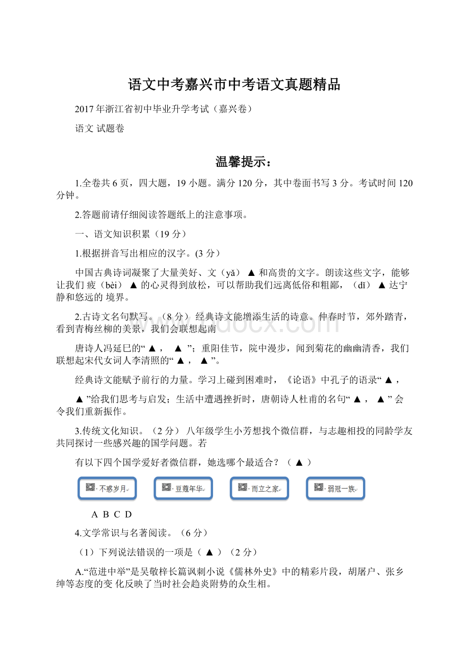 语文中考嘉兴市中考语文真题精品.docx