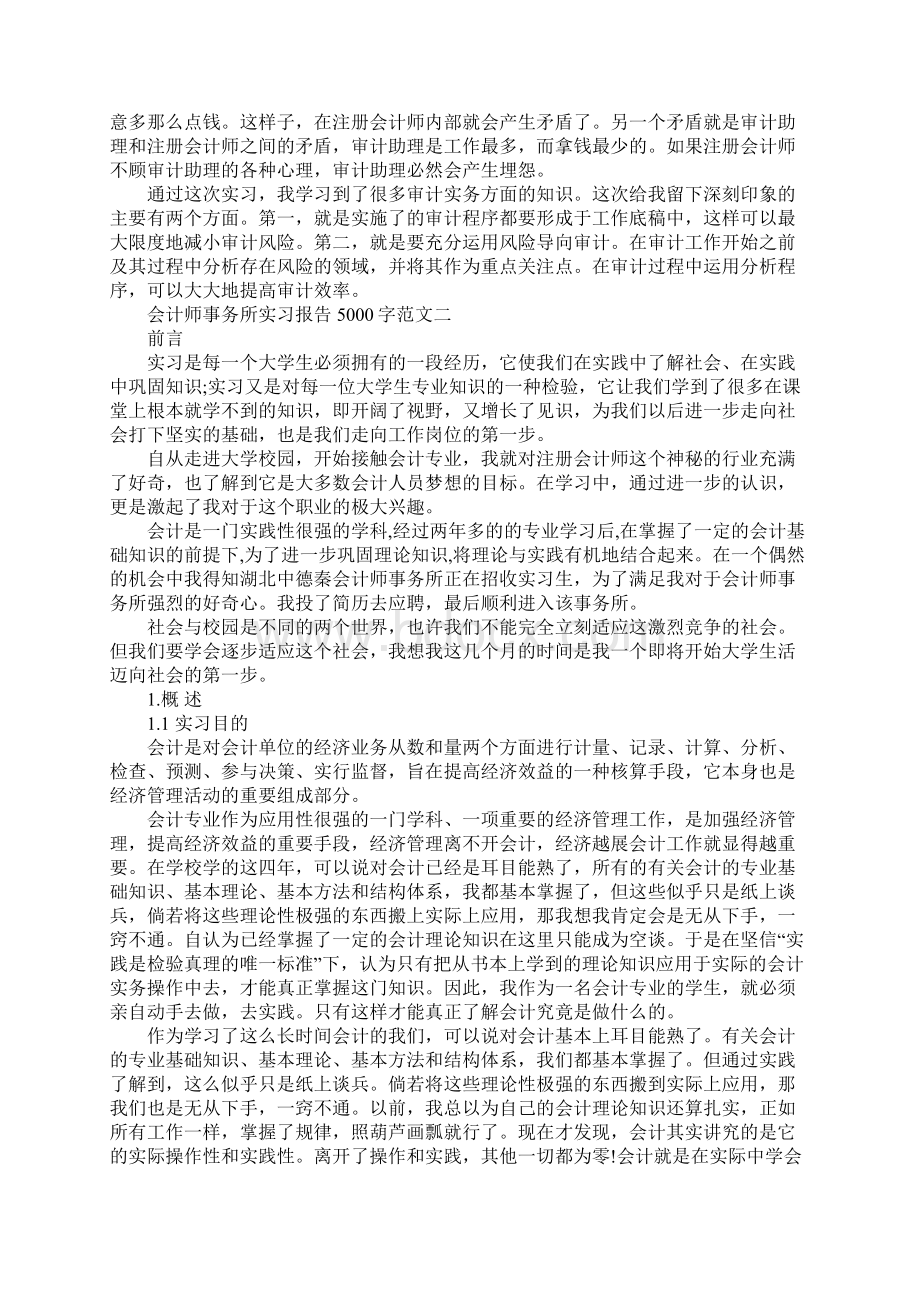 会计师事务所实习报告5000字范文文档格式.docx_第3页