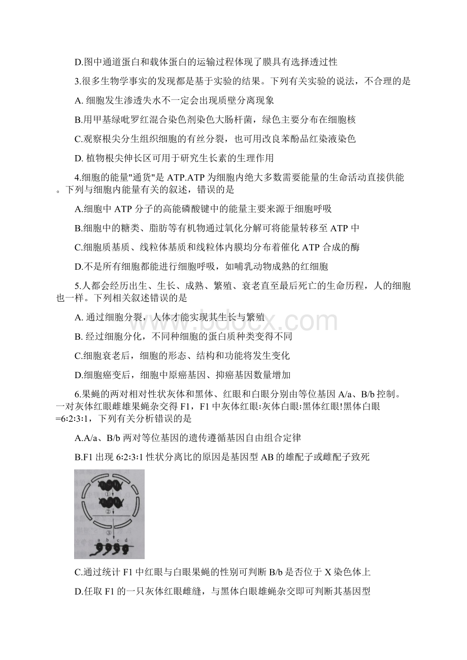 届河北省张家口市高三高考一模考试生物试题Word格式文档下载.docx_第2页