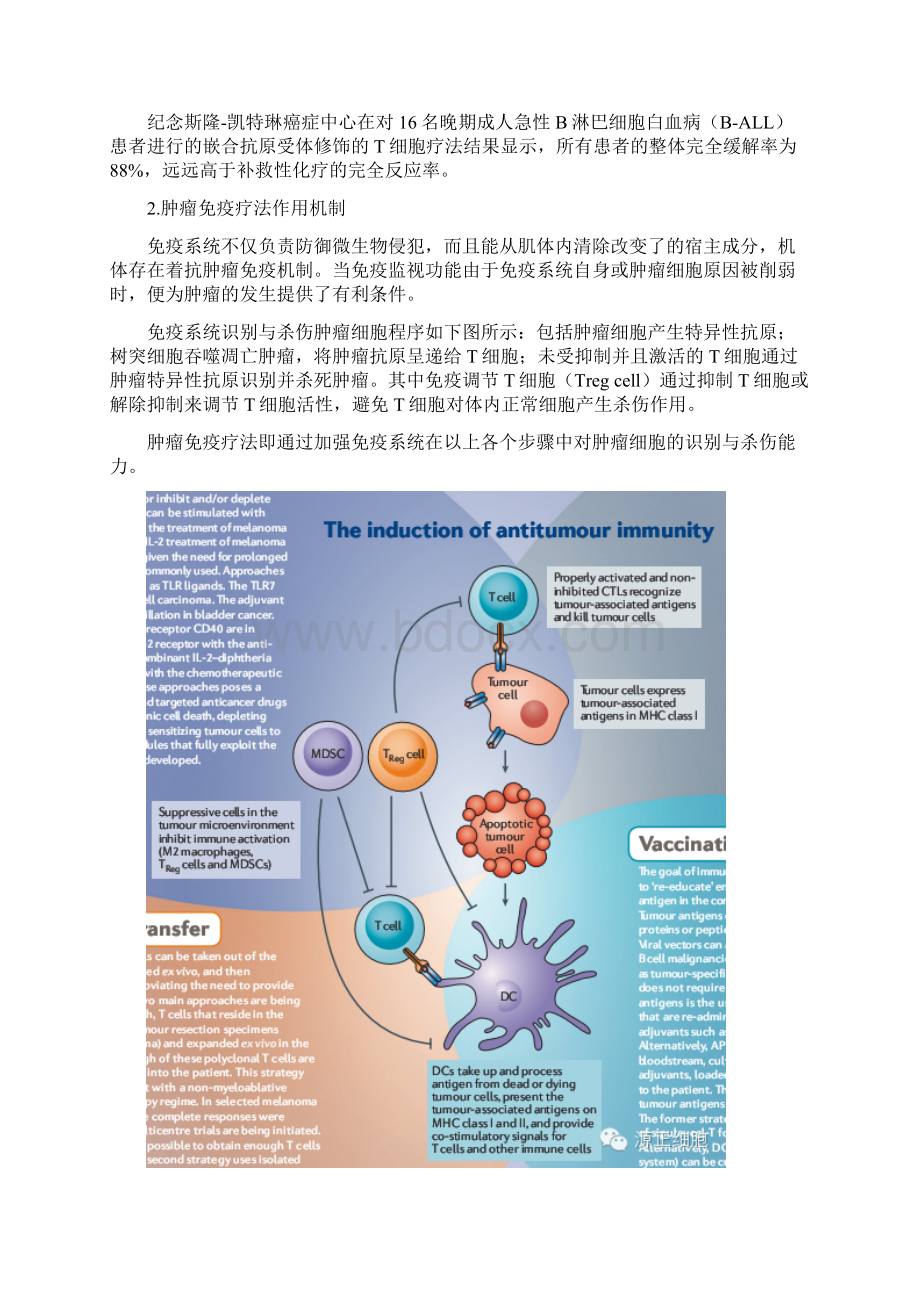 详解肿瘤免疫疗法Word格式文档下载.docx_第2页