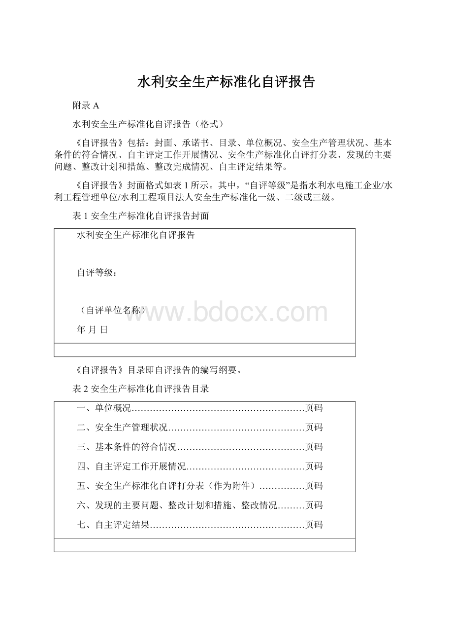 水利安全生产标准化自评报告Word格式.docx_第1页