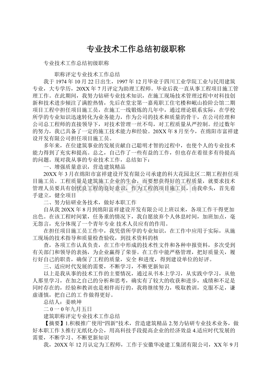 专业技术工作总结初级职称文档格式.docx