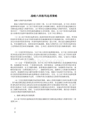 战略六西格玛选项策略文档格式.docx