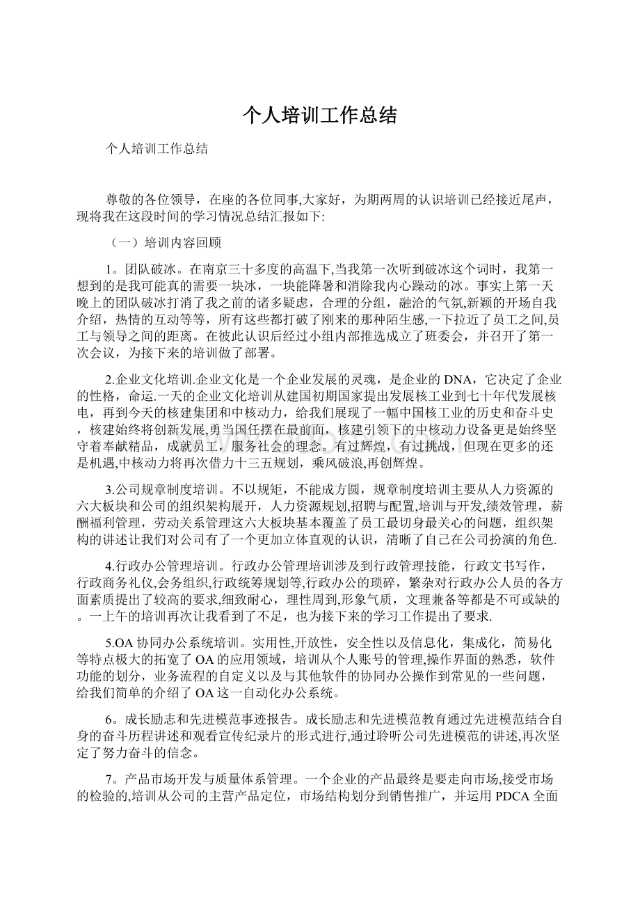 个人培训工作总结文档格式.docx