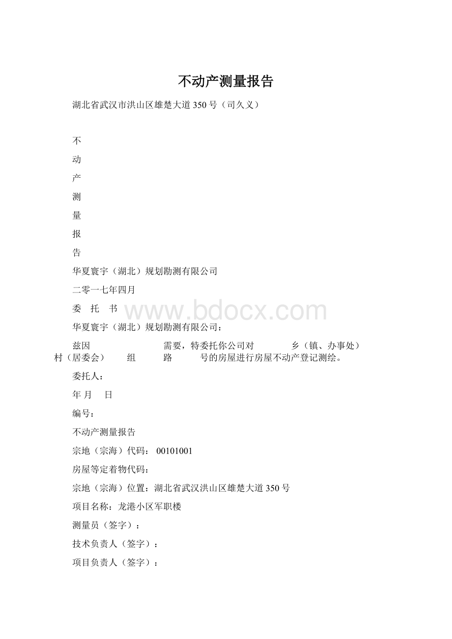 不动产测量报告.docx_第1页