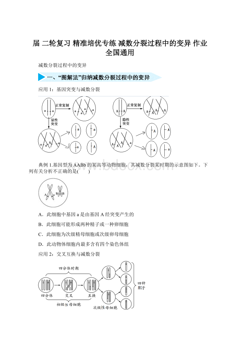 届二轮复习 精准培优专练减数分裂过程中的变异 作业 全国通用文档格式.docx_第1页