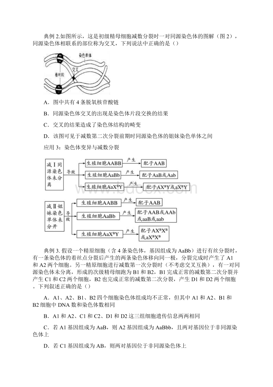 届二轮复习 精准培优专练减数分裂过程中的变异 作业 全国通用.docx_第2页