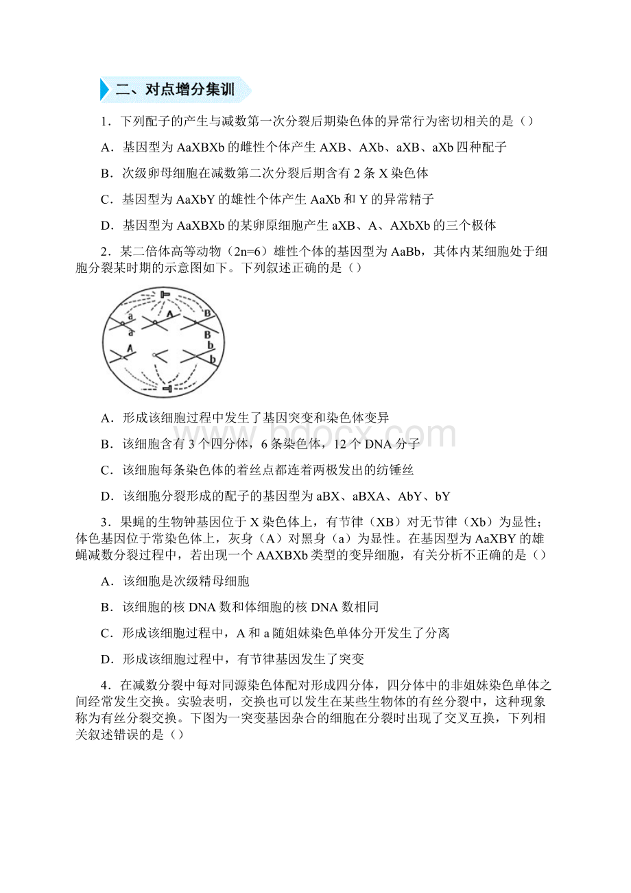 届二轮复习 精准培优专练减数分裂过程中的变异 作业 全国通用文档格式.docx_第3页