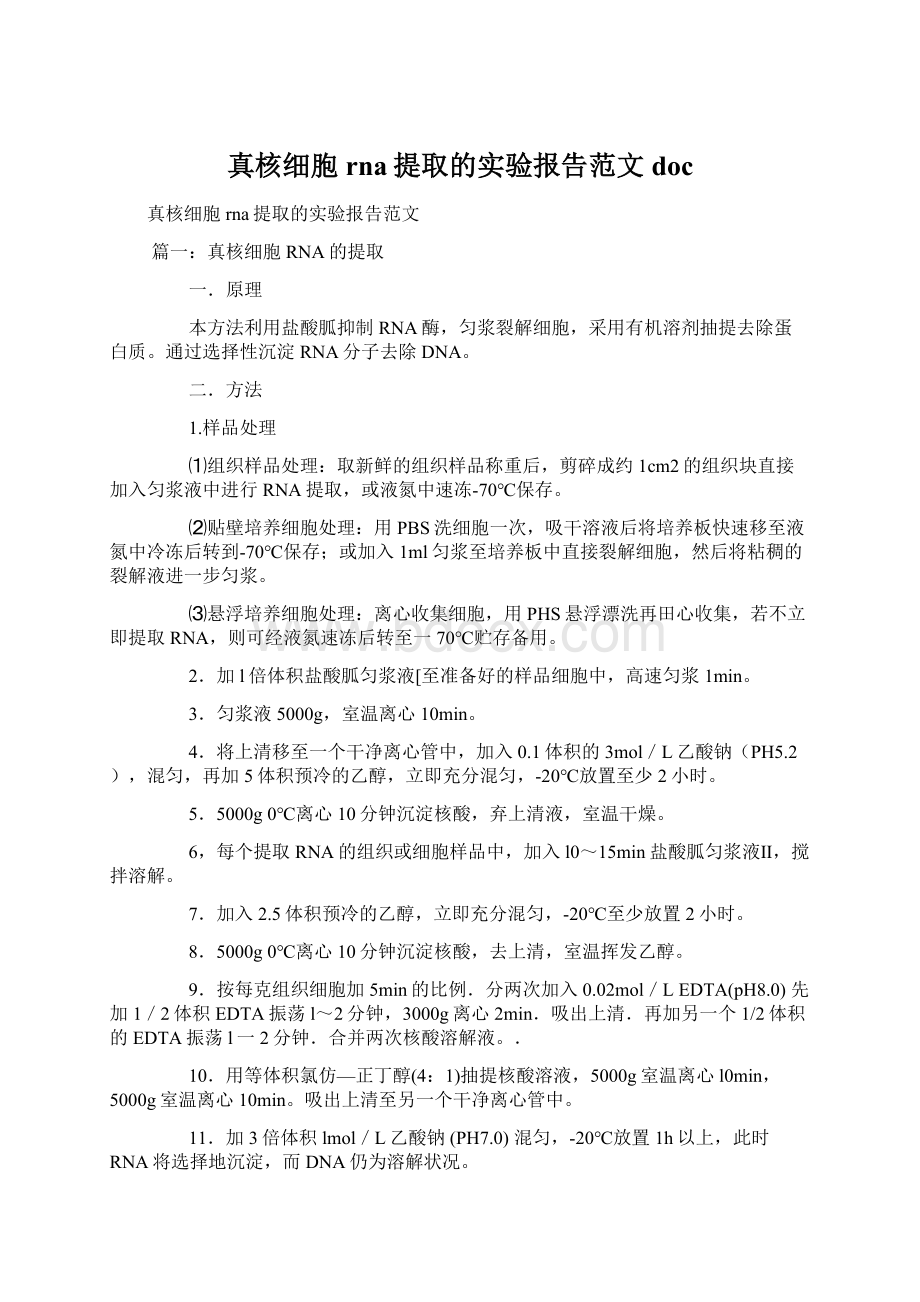 真核细胞rna提取的实验报告范文doc.docx_第1页