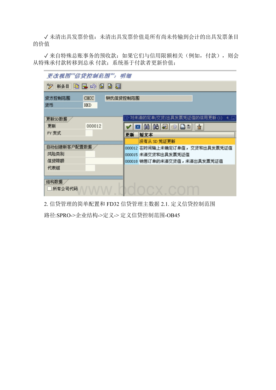 SAP信贷控制功能与配置详解Word格式文档下载.docx_第2页