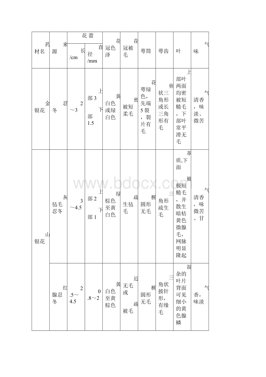 金银花与山银花的区别.docx_第2页