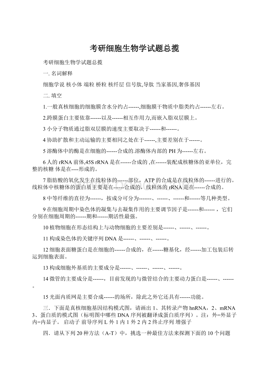 考研细胞生物学试题总揽Word格式.docx