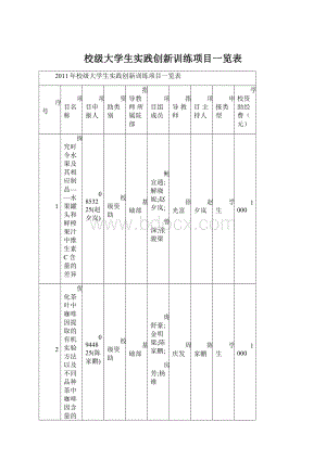 校级大学生实践创新训练项目一览表Word格式.docx