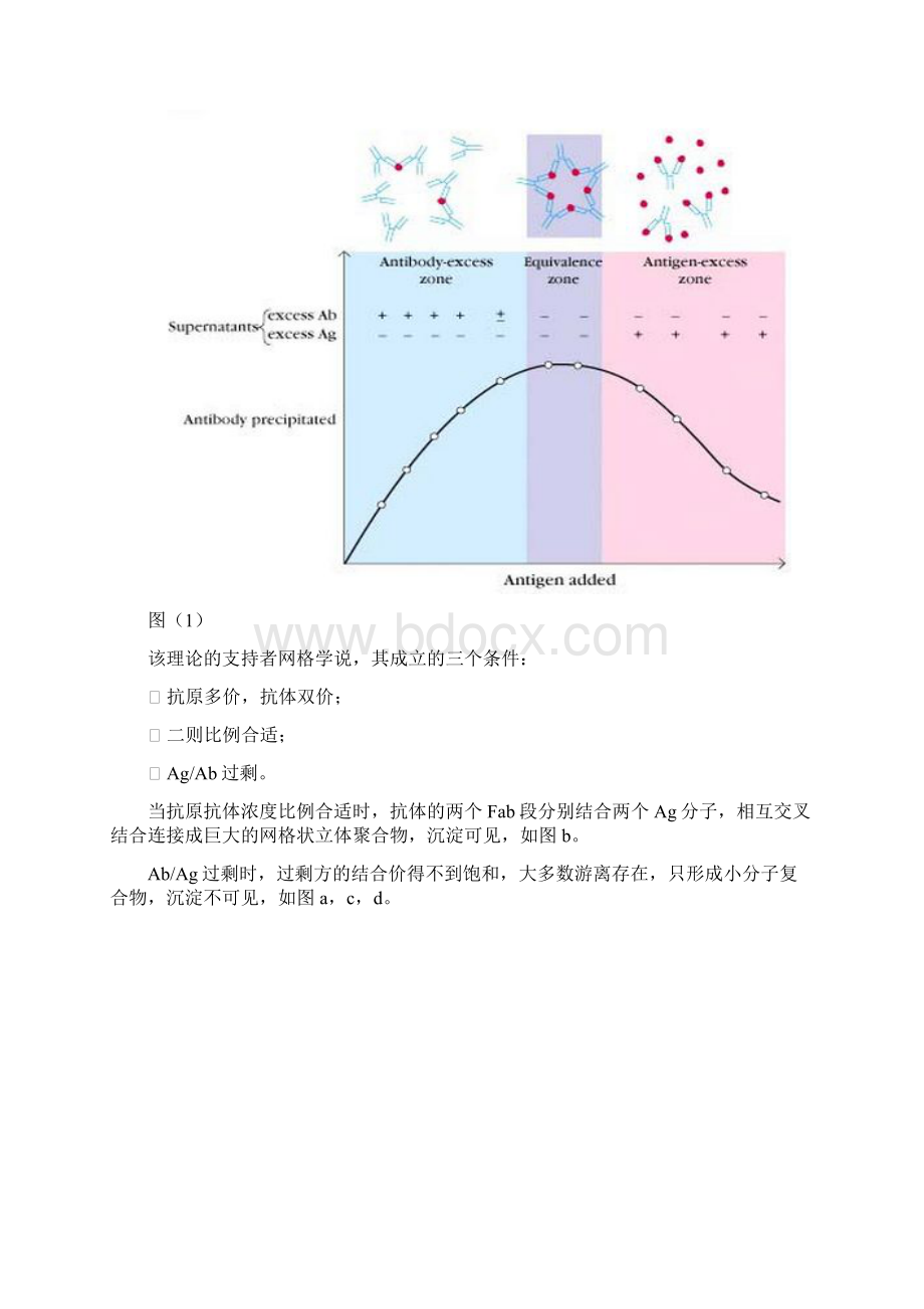 酶联免疫吸附测定法Word文档格式.docx_第2页