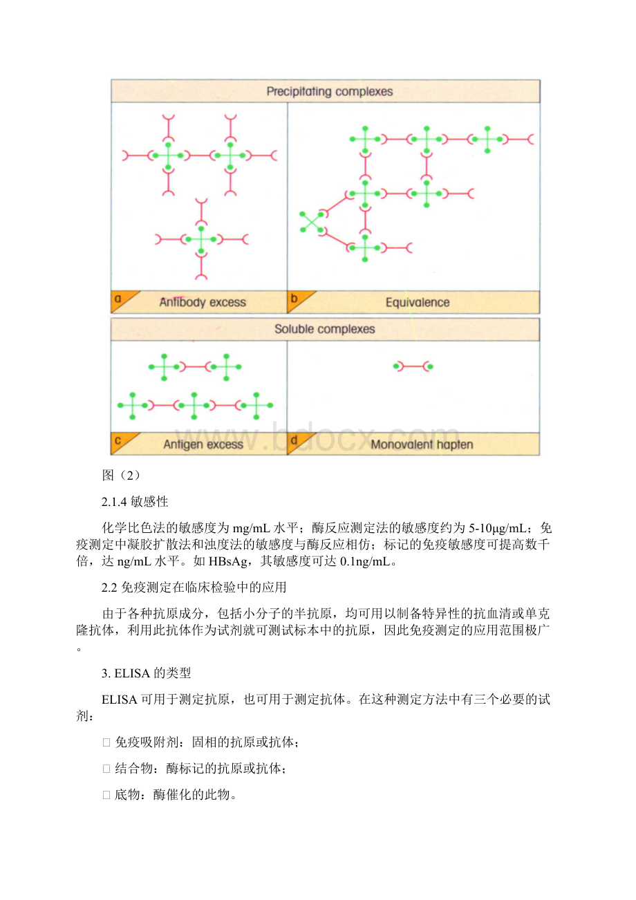 酶联免疫吸附测定法Word文档格式.docx_第3页