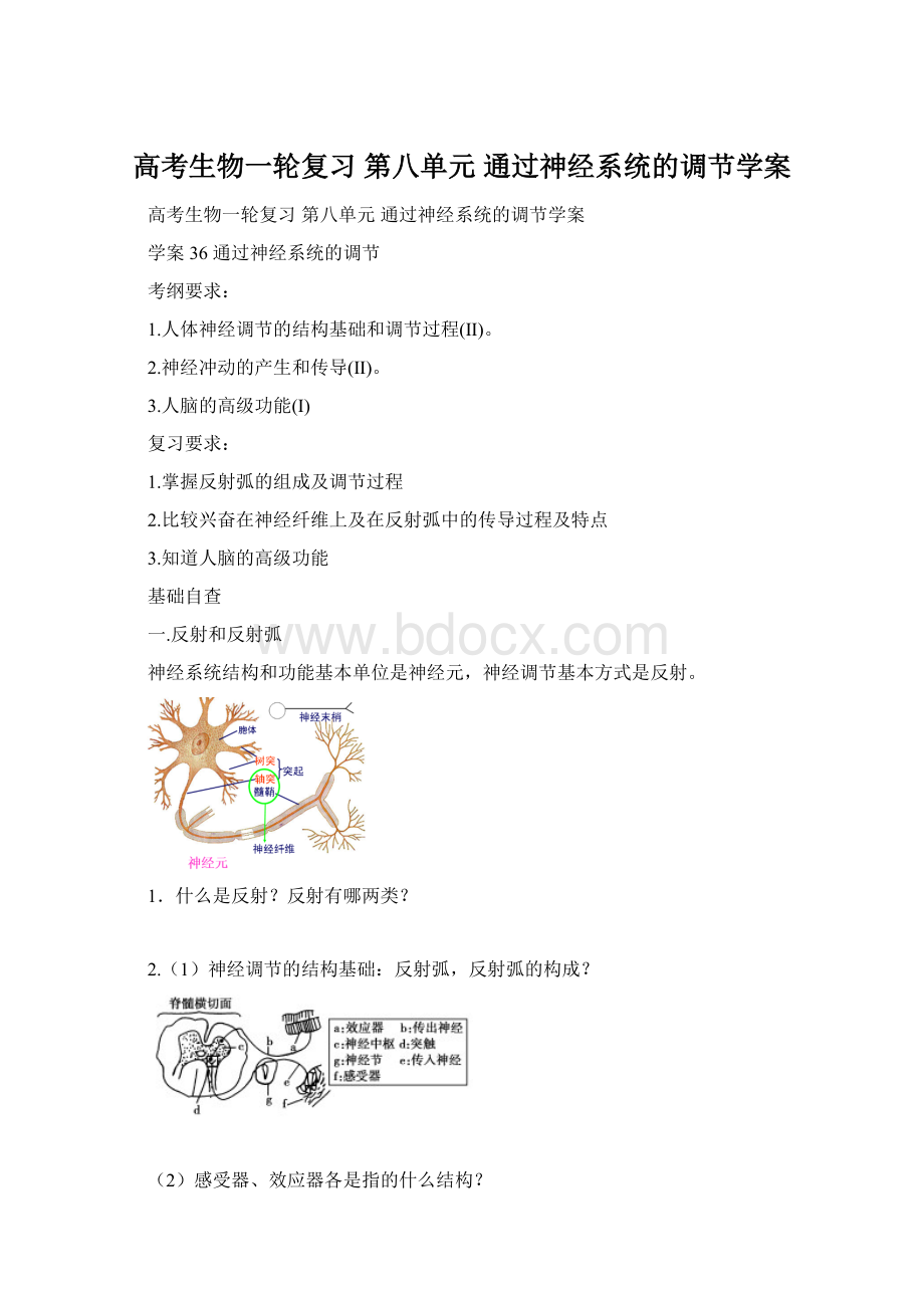 高考生物一轮复习 第八单元 通过神经系统的调节学案.docx_第1页