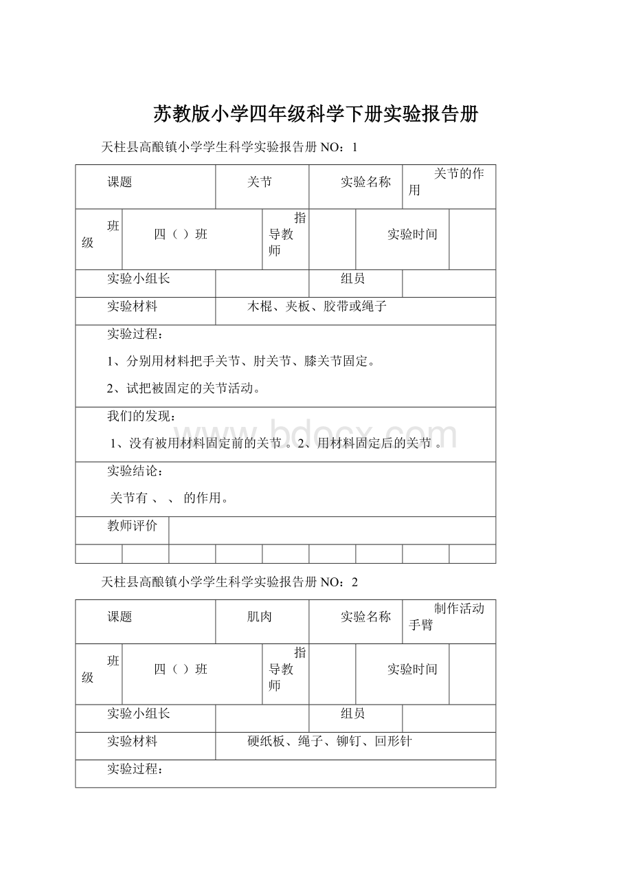 苏教版小学四年级科学下册实验报告册Word文件下载.docx_第1页