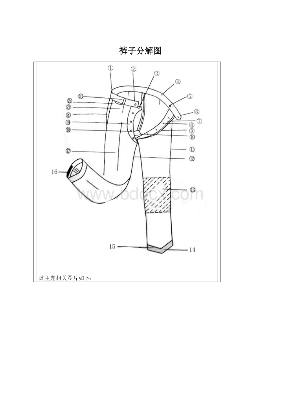 裤子分解图Word文件下载.docx_第1页