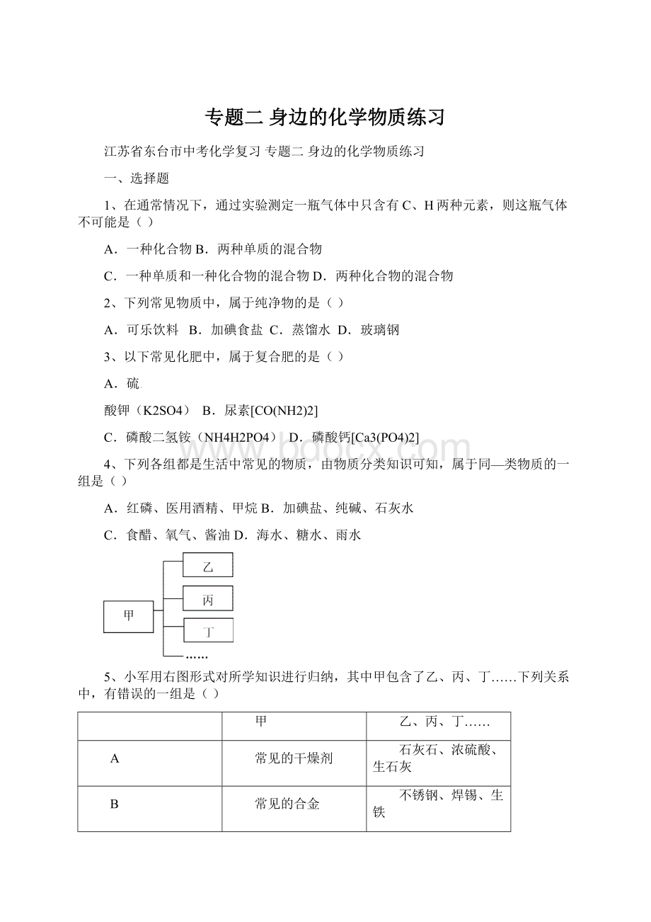 专题二 身边的化学物质练习.docx