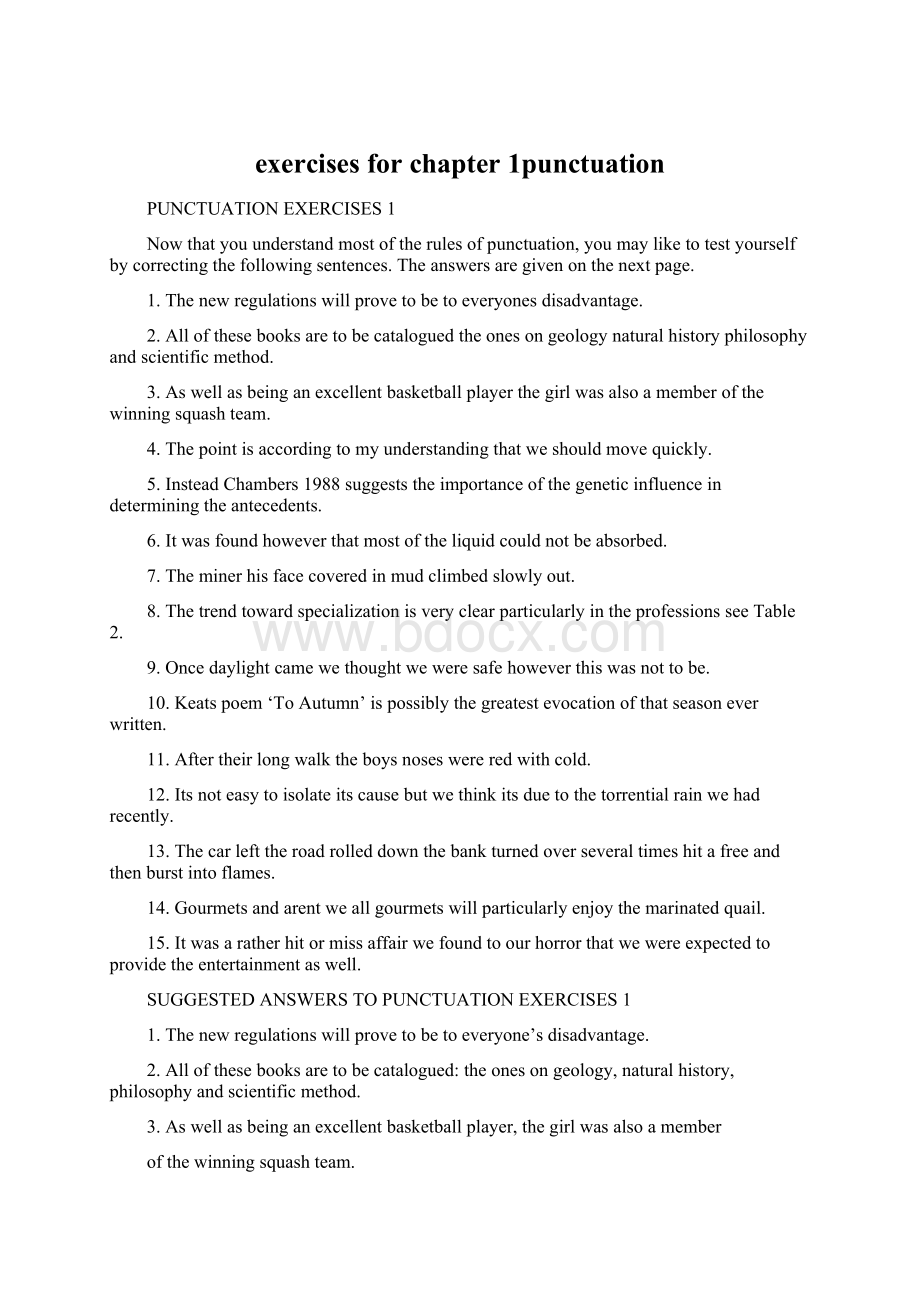 exercises for chapter 1punctuation.docx