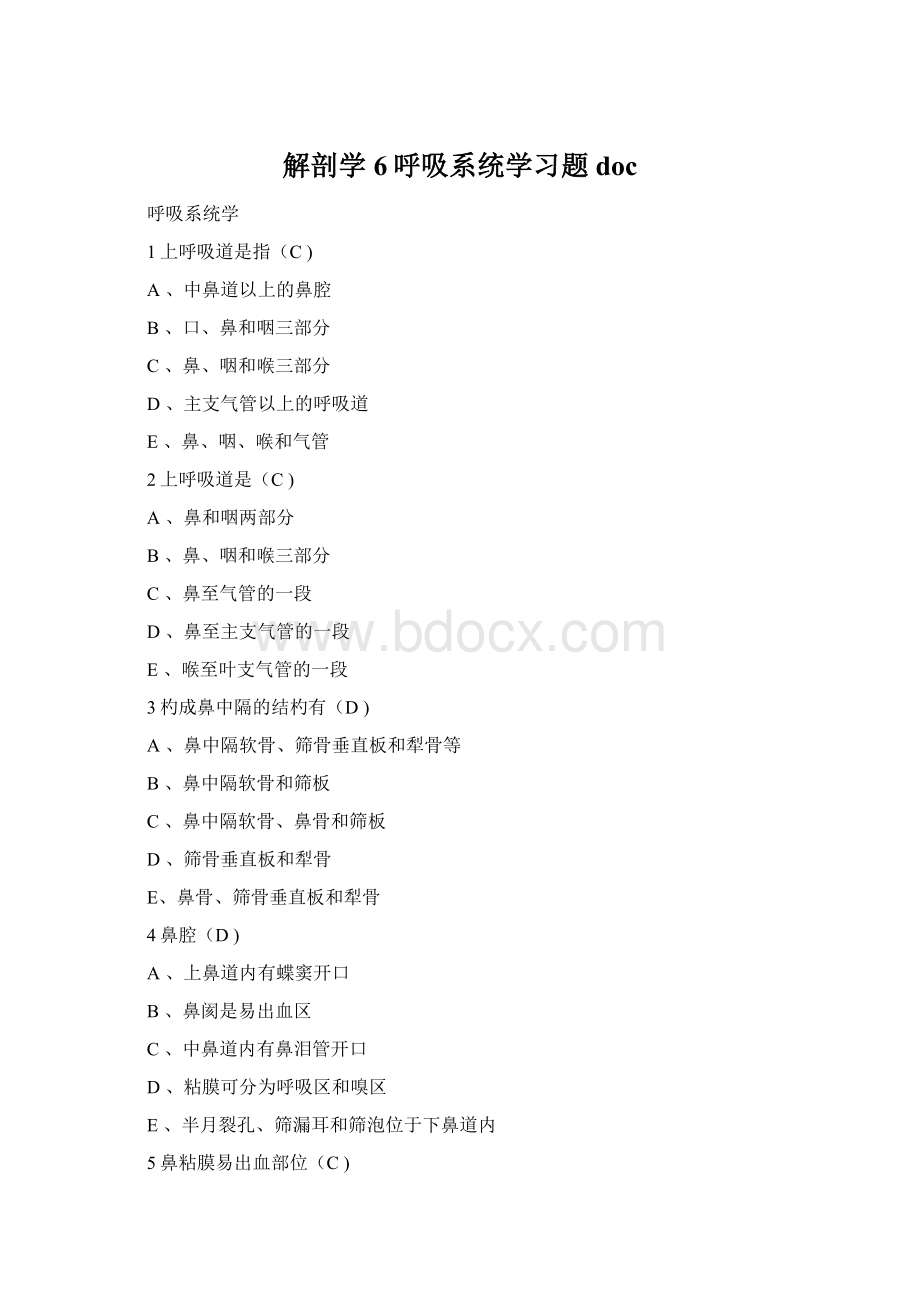 解剖学6呼吸系统学习题docWord下载.docx