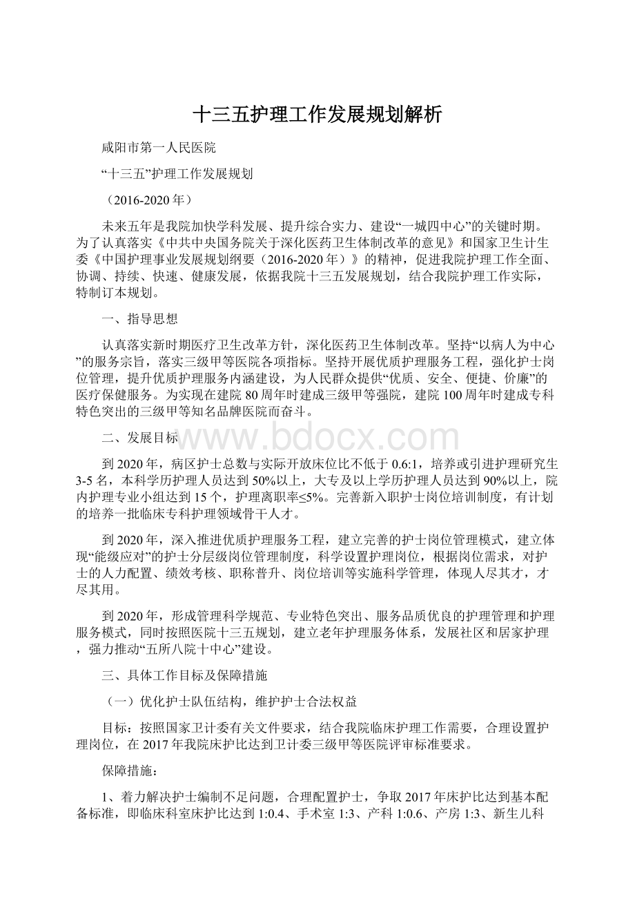 十三五护理工作发展规划解析.docx_第1页