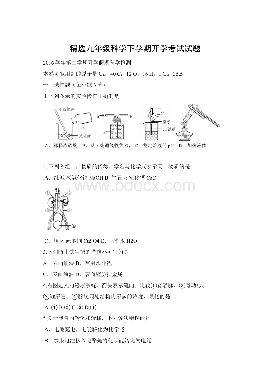 精选九年级科学下学期开学考试试题Word下载.docx