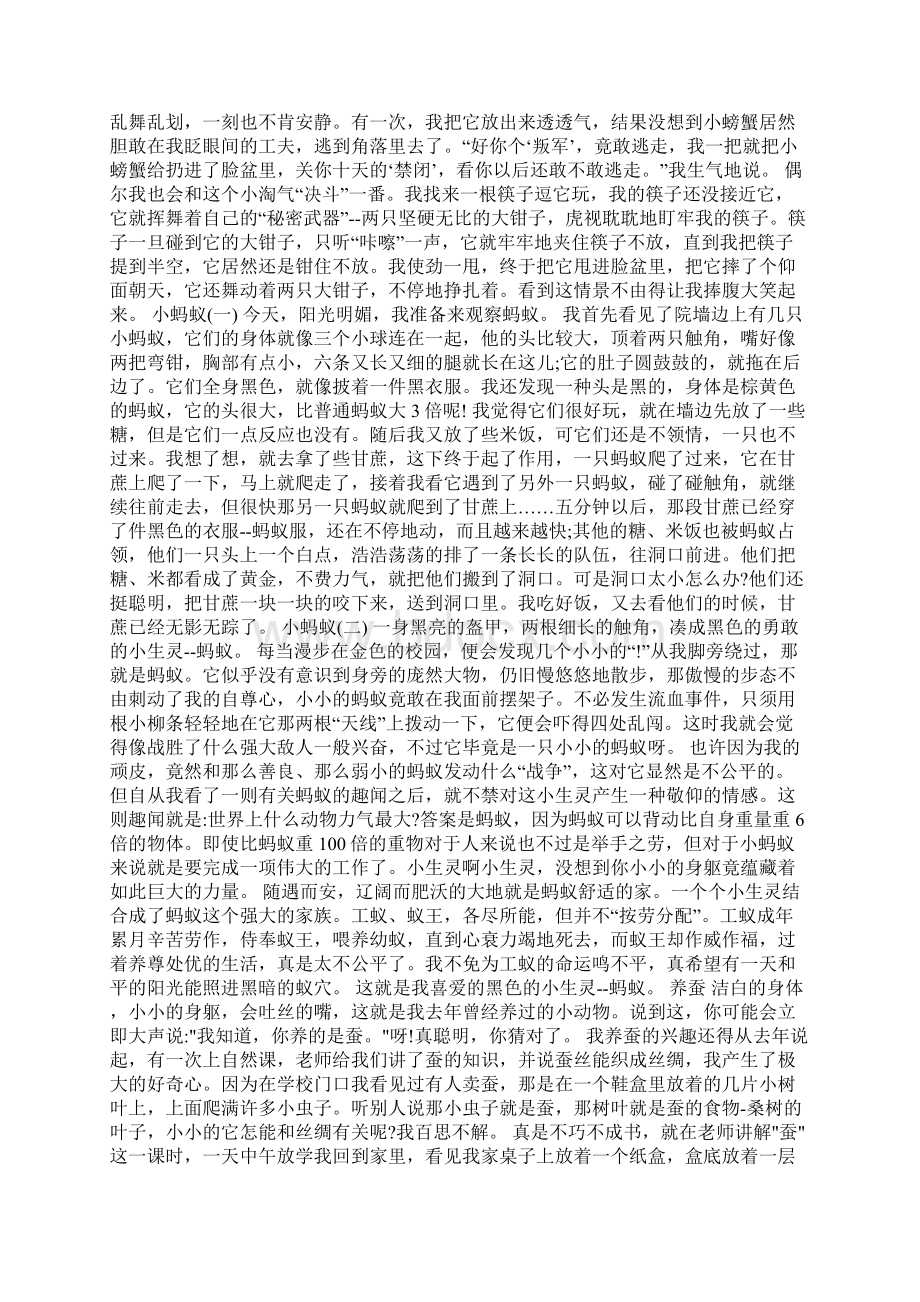 动物例文Word 文档Word格式文档下载.docx_第3页