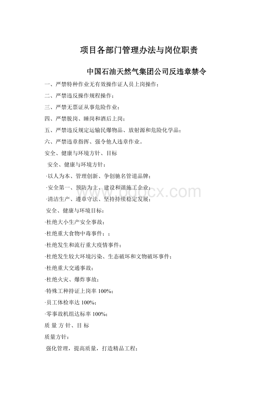 项目各部门管理办法与岗位职责.docx_第1页