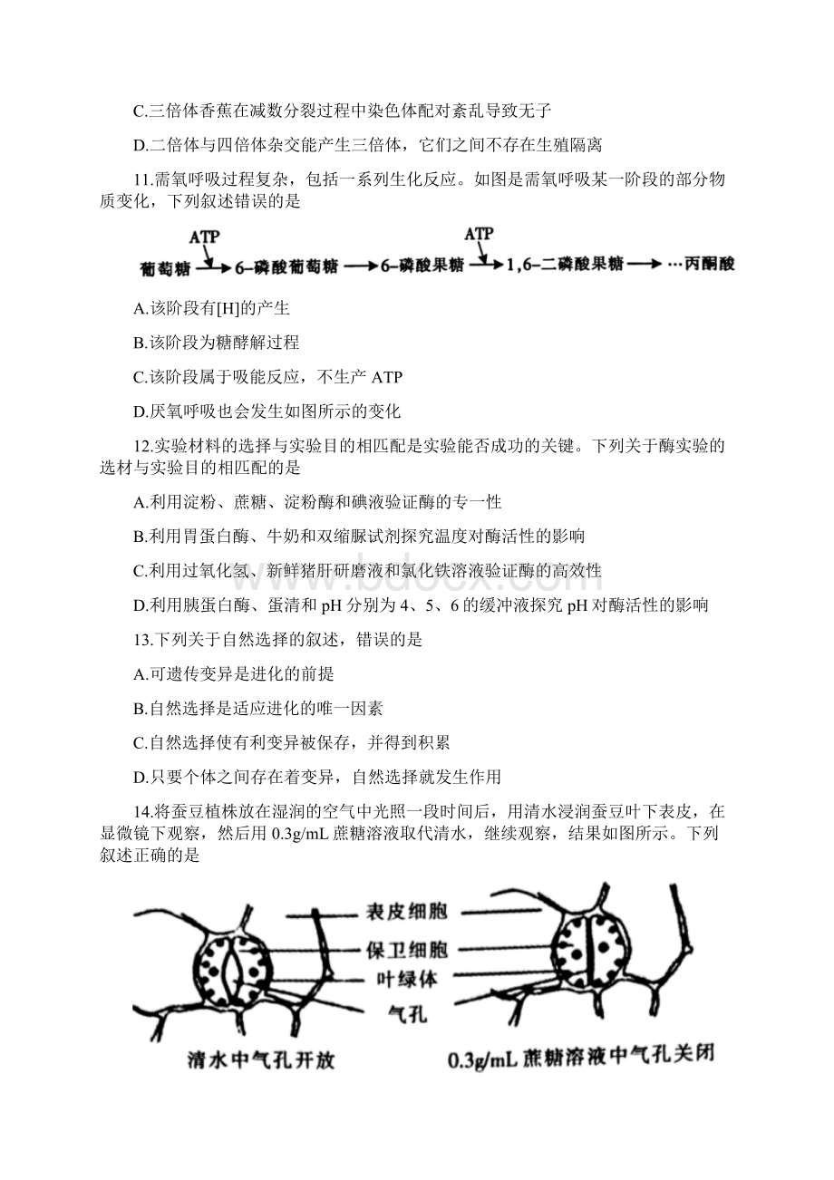 届浙江省金华十校高三模拟考试生物试题Word格式文档下载.docx_第3页