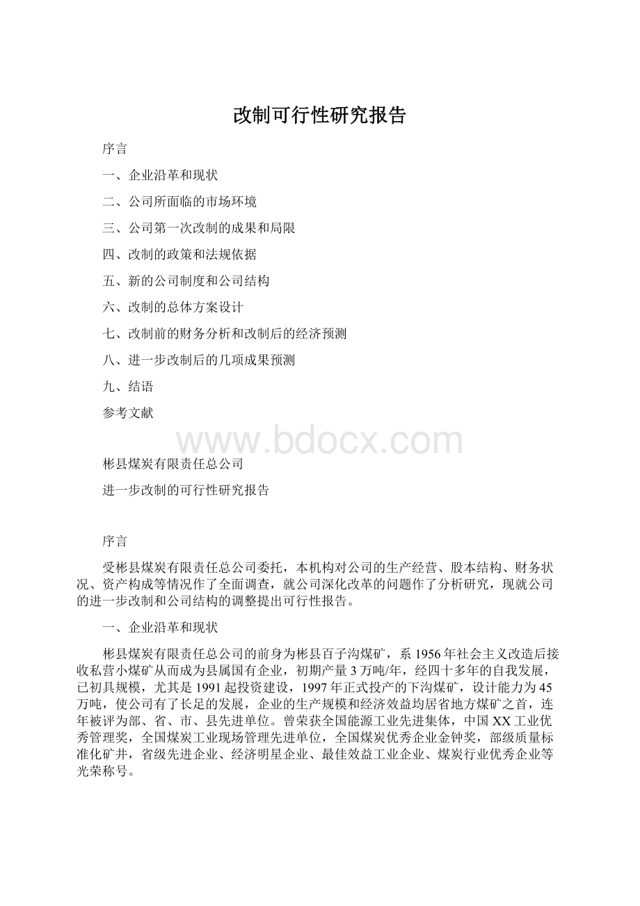 改制可行性研究报告.docx