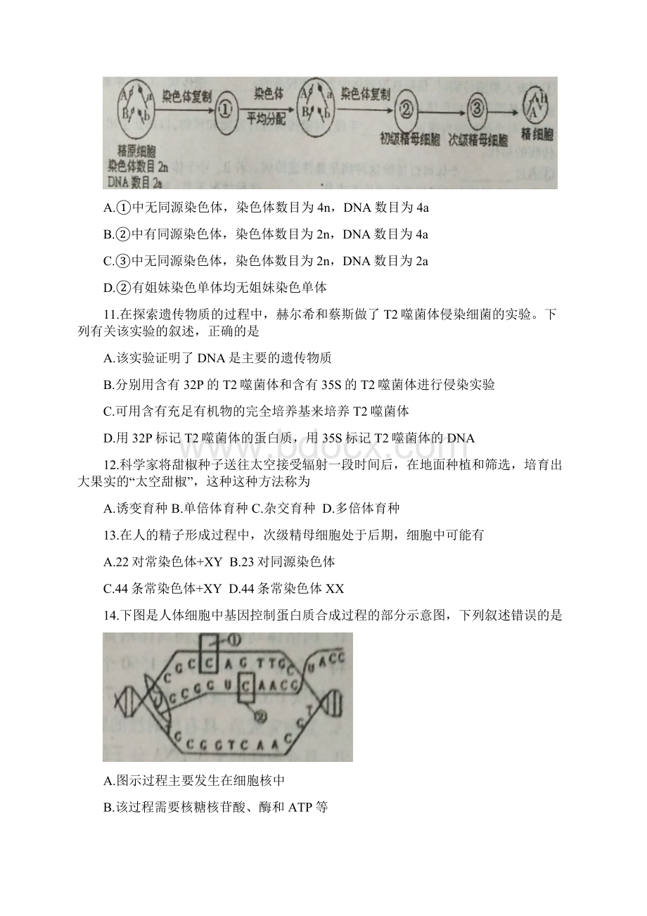 山西省运城市学年高一下学期期末考试生物试Word格式文档下载.docx_第3页