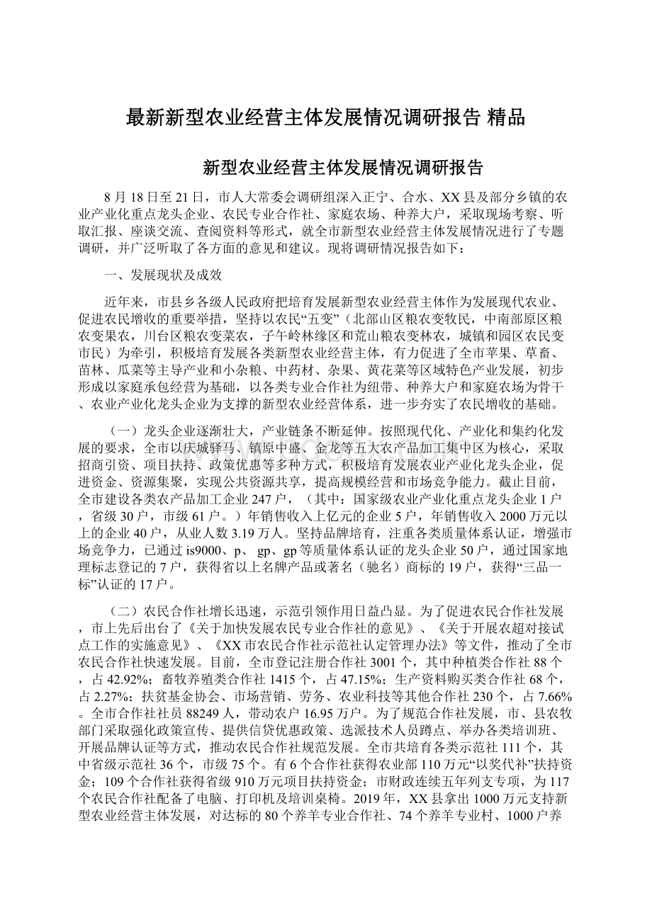 最新新型农业经营主体发展情况调研报告 精品Word文档格式.docx