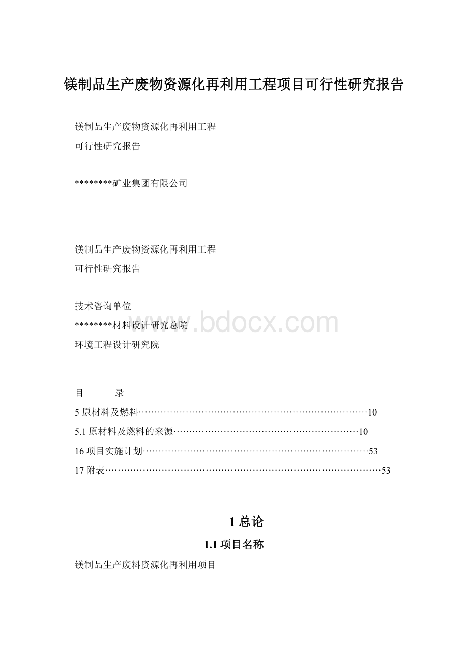 镁制品生产废物资源化再利用工程项目可行性研究报告.docx_第1页