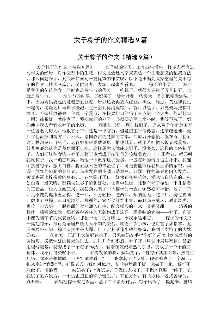 关于粽子的作文精选9篇Word下载.docx