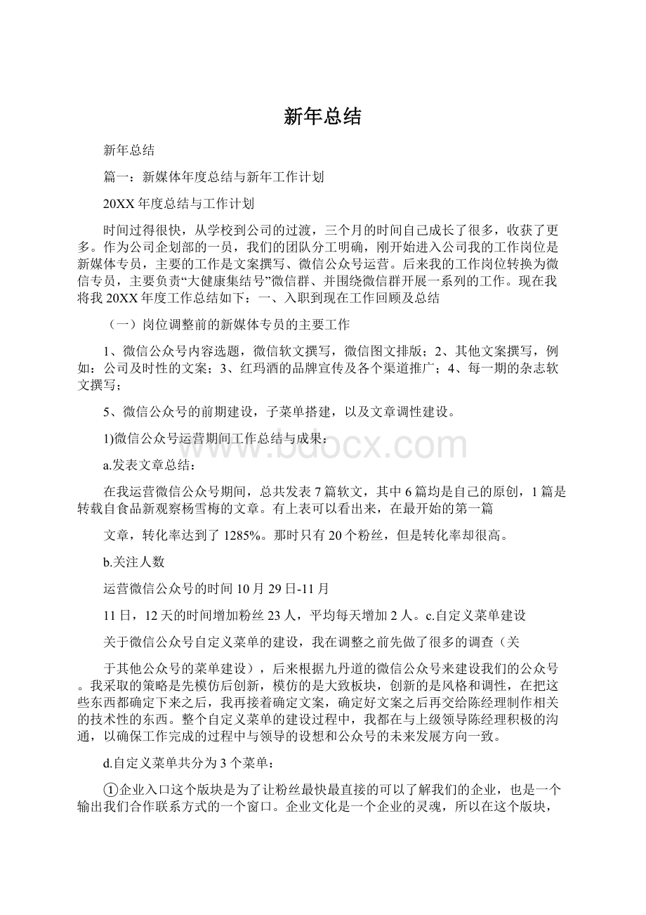 新年总结文档格式.docx