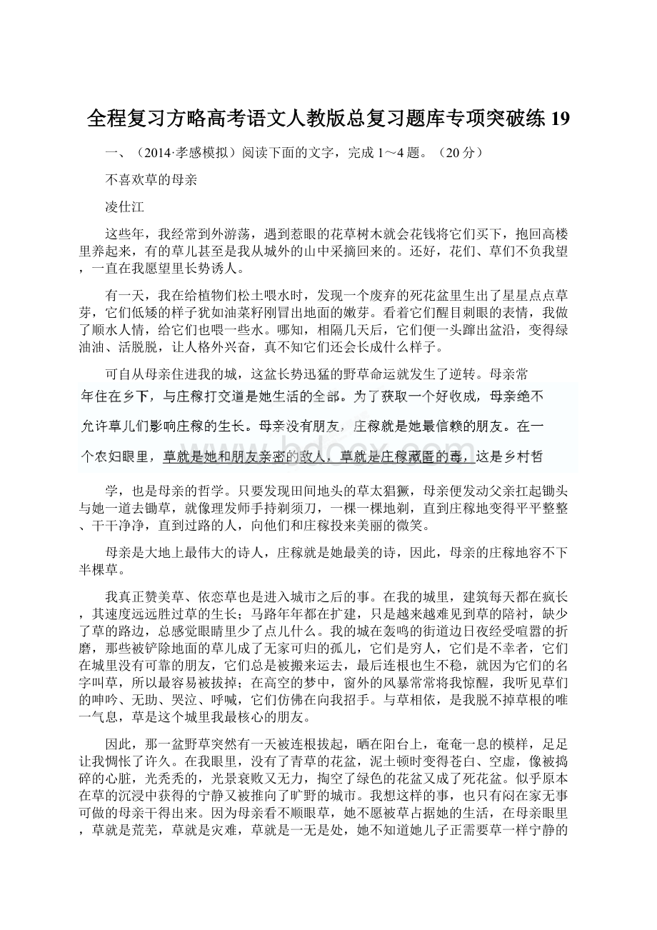 全程复习方略高考语文人教版总复习题库专项突破练19.docx_第1页