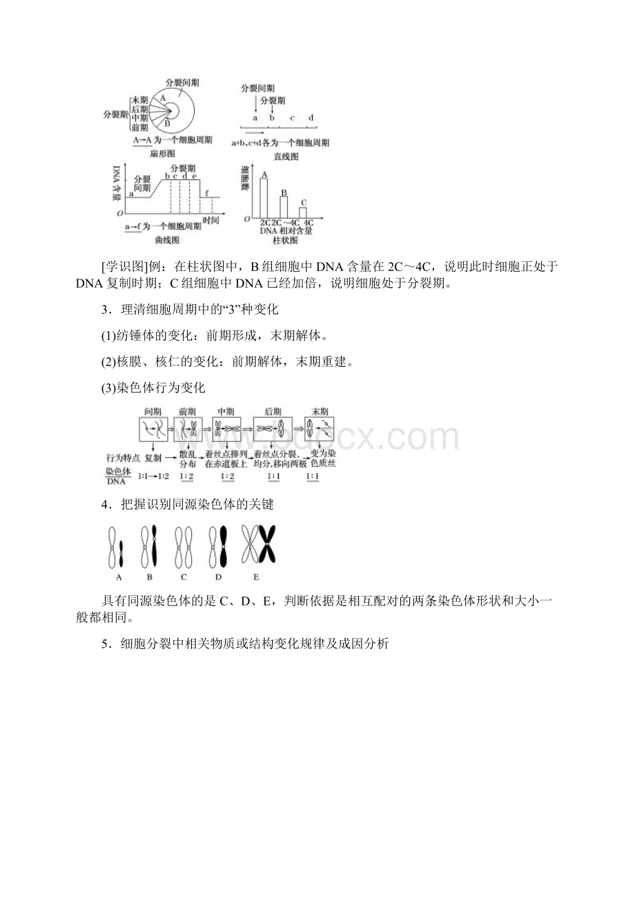 高考生物大二轮复习第01部分专题03生命系统的延续整合考点06动态有序的细胞增殖学案.docx_第3页