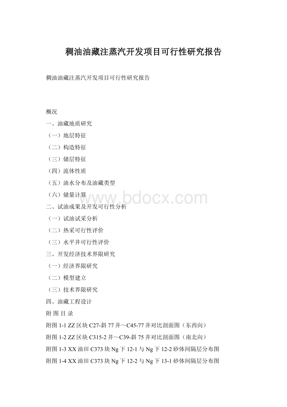 稠油油藏注蒸汽开发项目可行性研究报告.docx_第1页